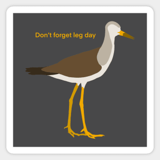 Don’t Forget Leg Day - Yellowlegs Sandpiper Birdwatching Design Sticker